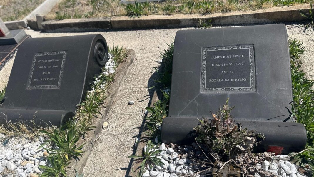 Sharpeville massacre survivors start legal fight for justice in South Africa Two gravestones with weeds growing nearby among large pieces of gravel.