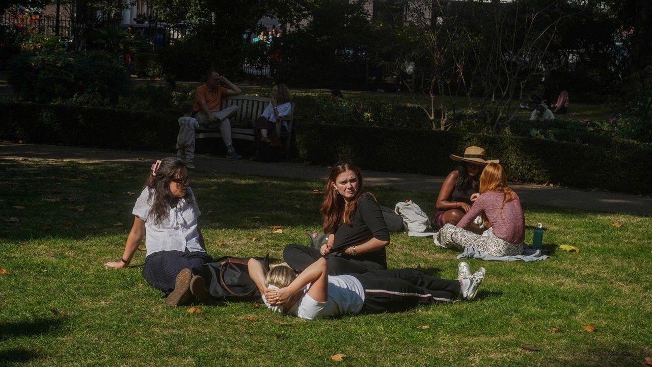 People sit under a tree in a part with areas of sun and shadow on the ground