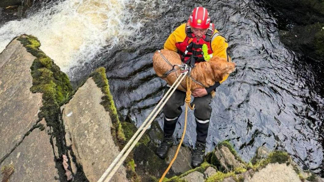 A man in waterproof clothing wearing rock climbing equipment is lowered by ropes down a rock face, above a river. He holds a light brown Labrador dog in his arms.