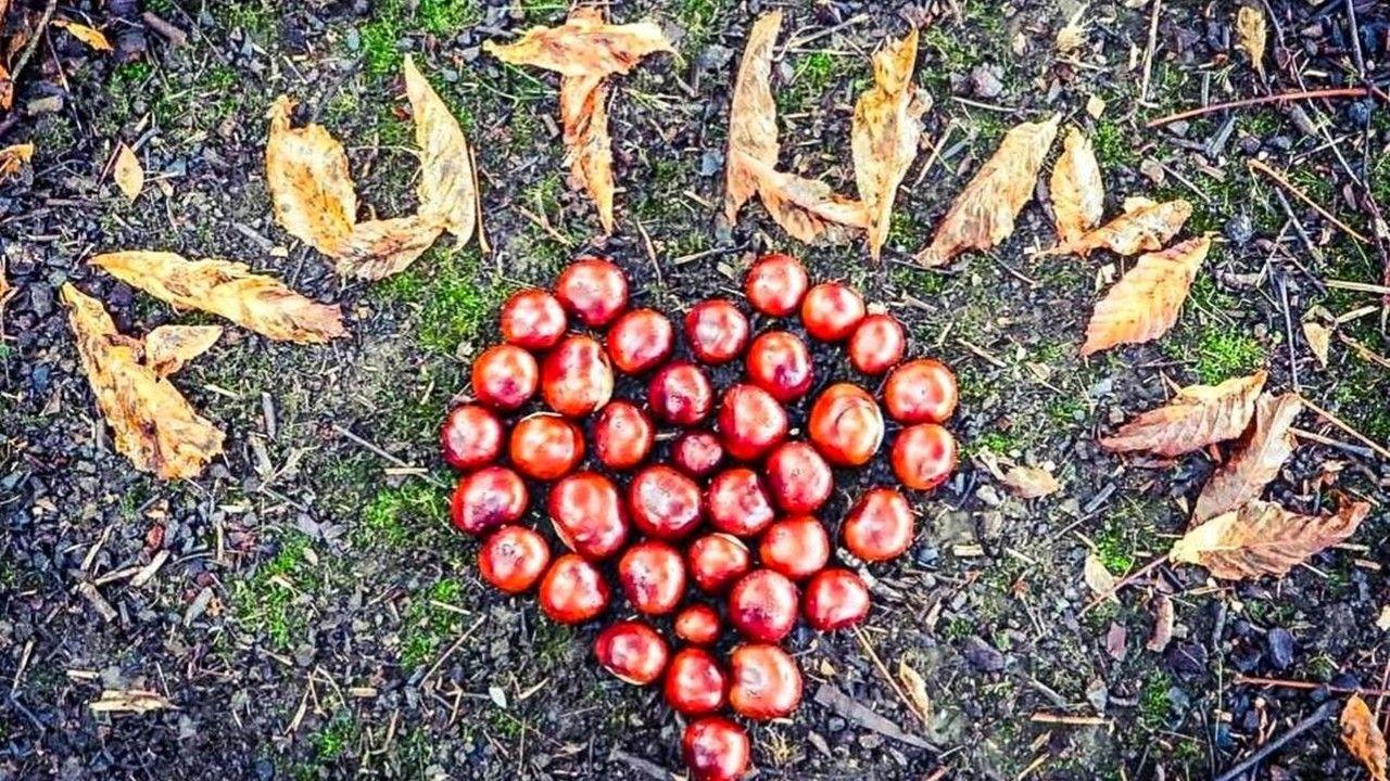 A heart shape is made out of conkers on the ground with the word 'autumn' spelled out in leaves above it