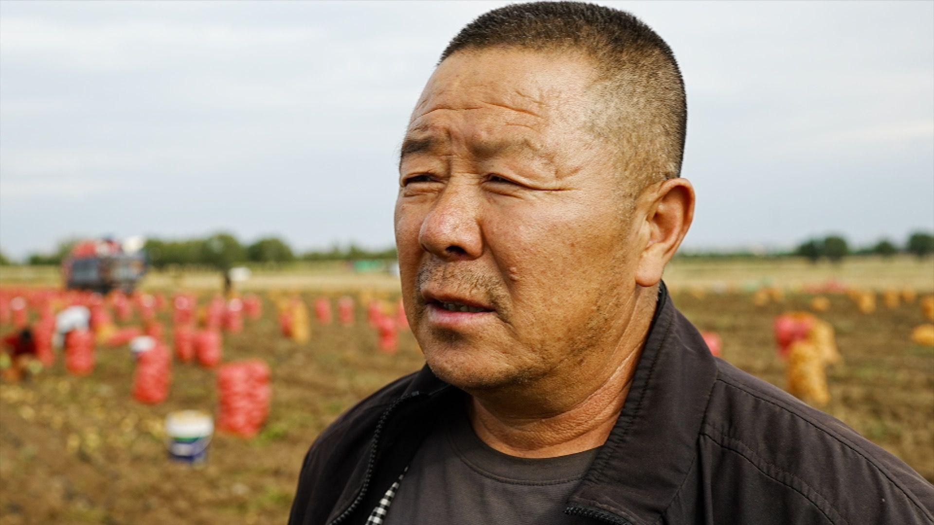 Close-up of a man standing in a field with red and yellow sacks of harvested produce scattered across the background.