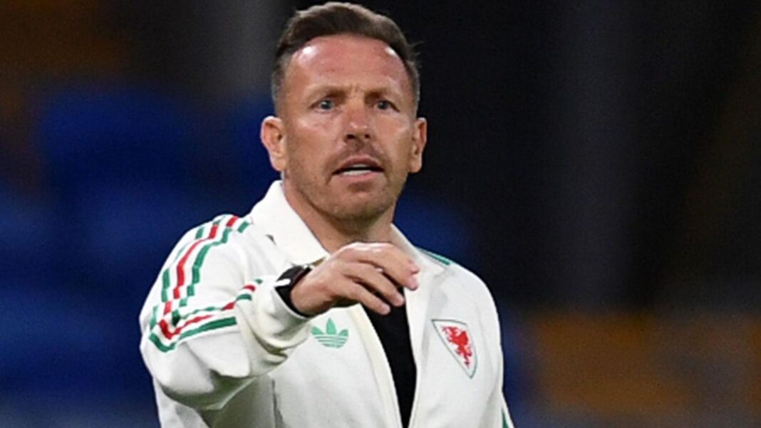 Craig Bellamy gestures to his players on the touchline