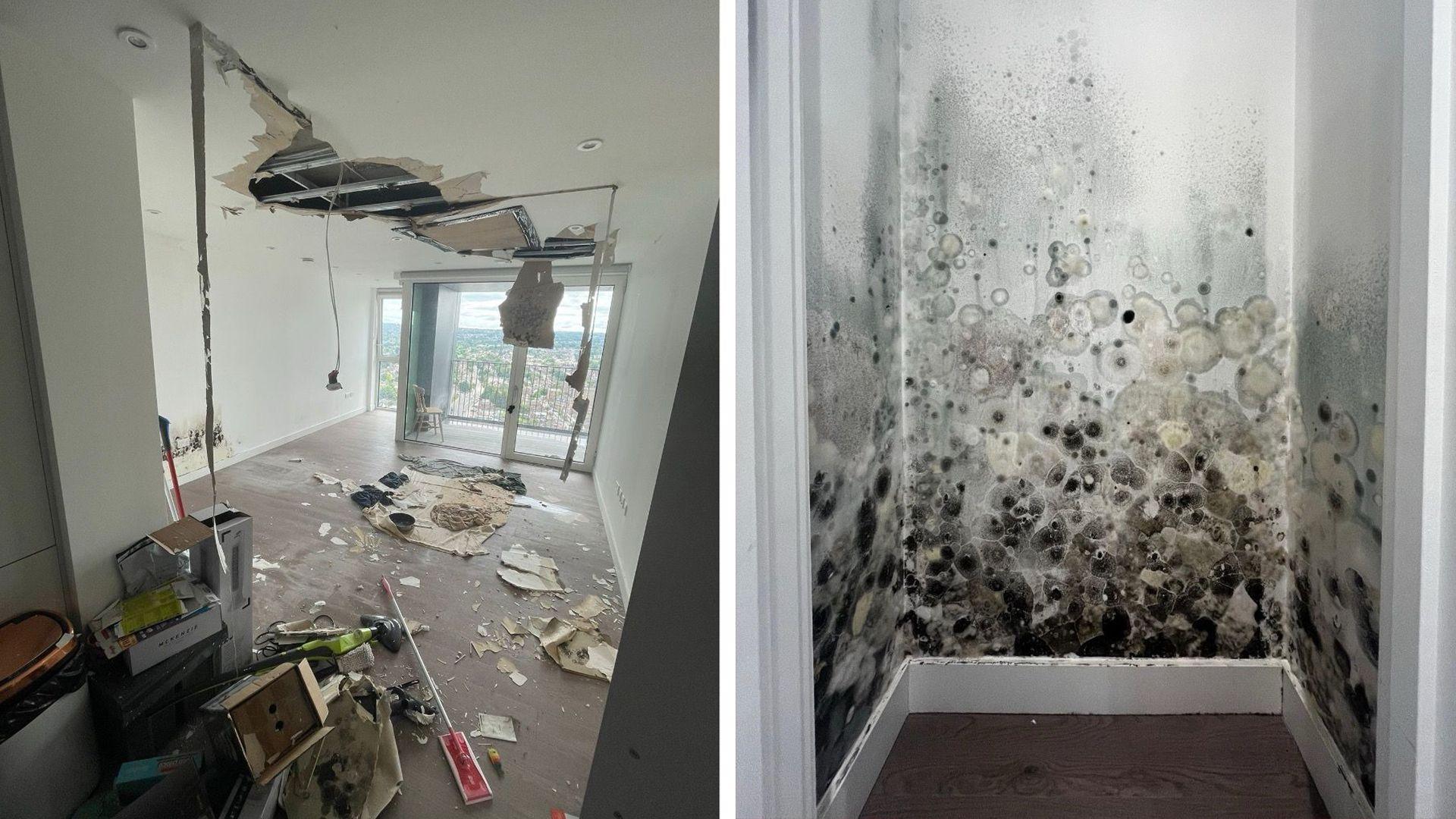 A split image showing severe interior damage. The left side depicts a room with a collapsed ceiling exposing insulation, scattered debris, broken drywall and water‑stained surfaces. Large windows overlook a cityscape. The right side shows a close‑up of a small enclosed area heavily infested with mould in dense black, grey and white clusters.