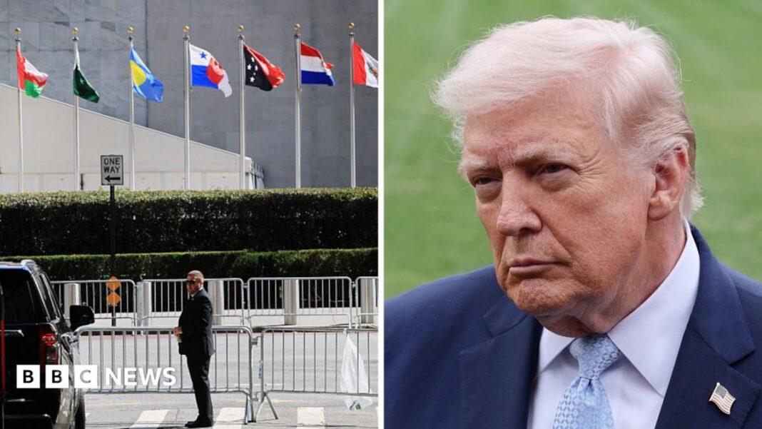 Watch: What to expect from the UN General Assembly image