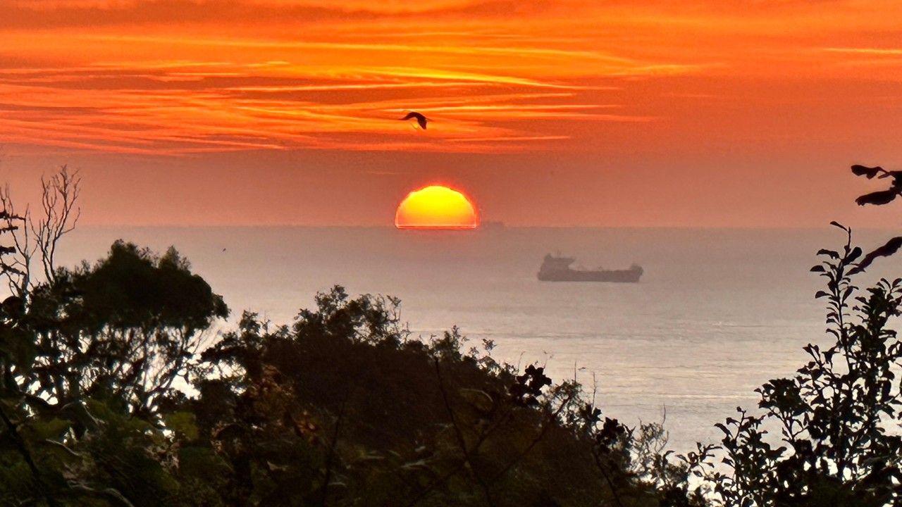 The sun is just more than half way over the horizon on the sea in a vivid red and orange sky. A ship is on the silver, grey sea with trees in the foreground.
