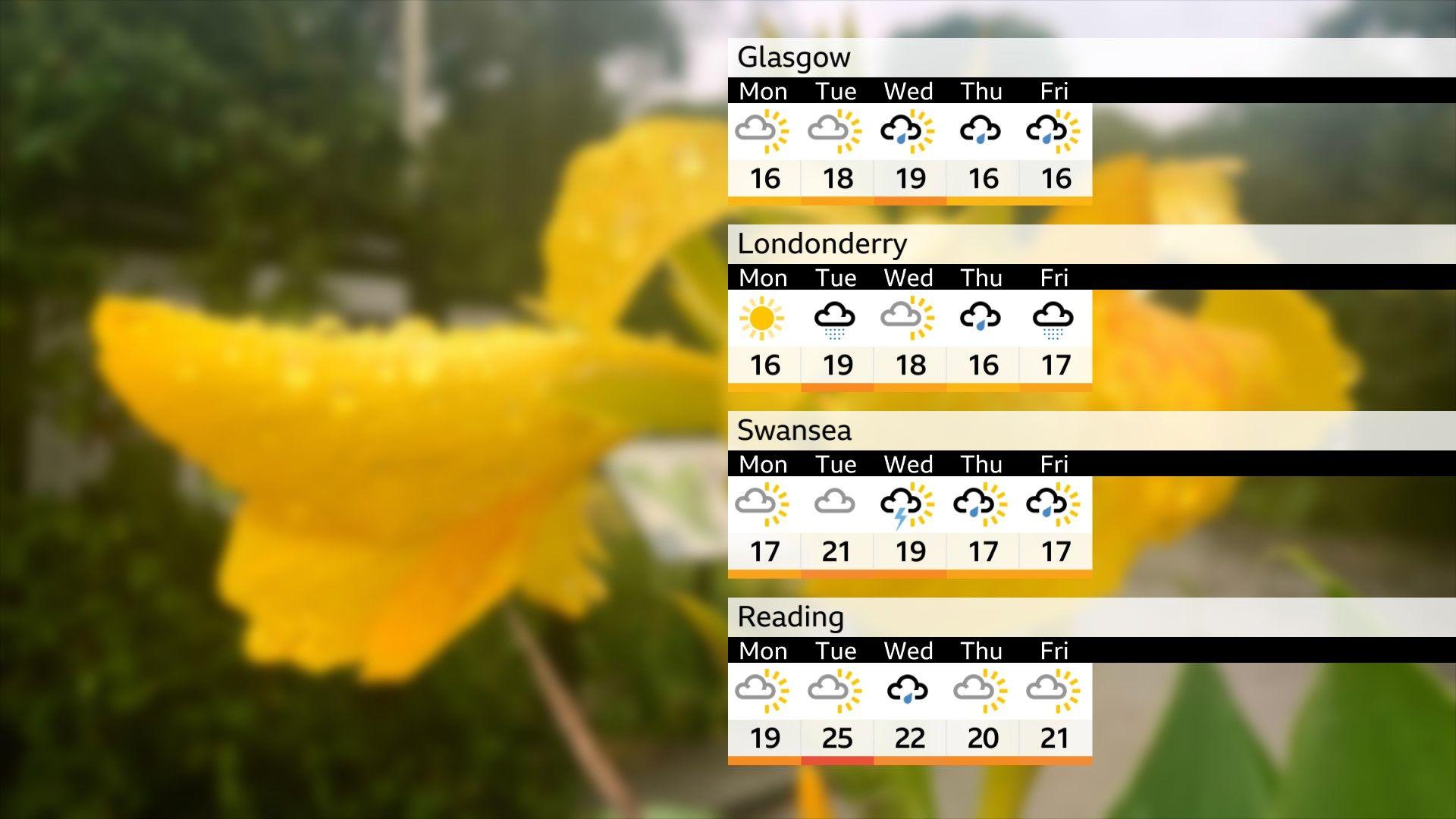 Large wet yellow flower in the background, the forecast for the week ahead for Reading, Swansea, Londonderry and Glasgow are in the foreground