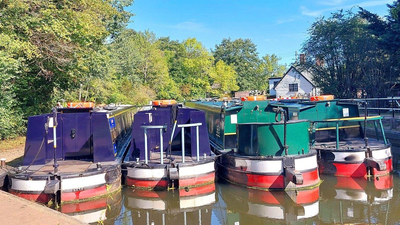Blue, green and red boats moored along a river with trees and blue skies behind
