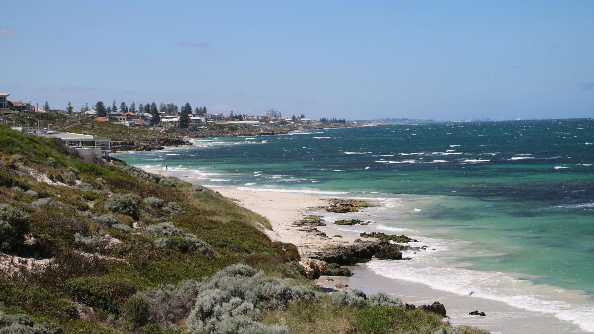 Coastline of a beach with a grassy hill on one side and houses and trees in the distance
