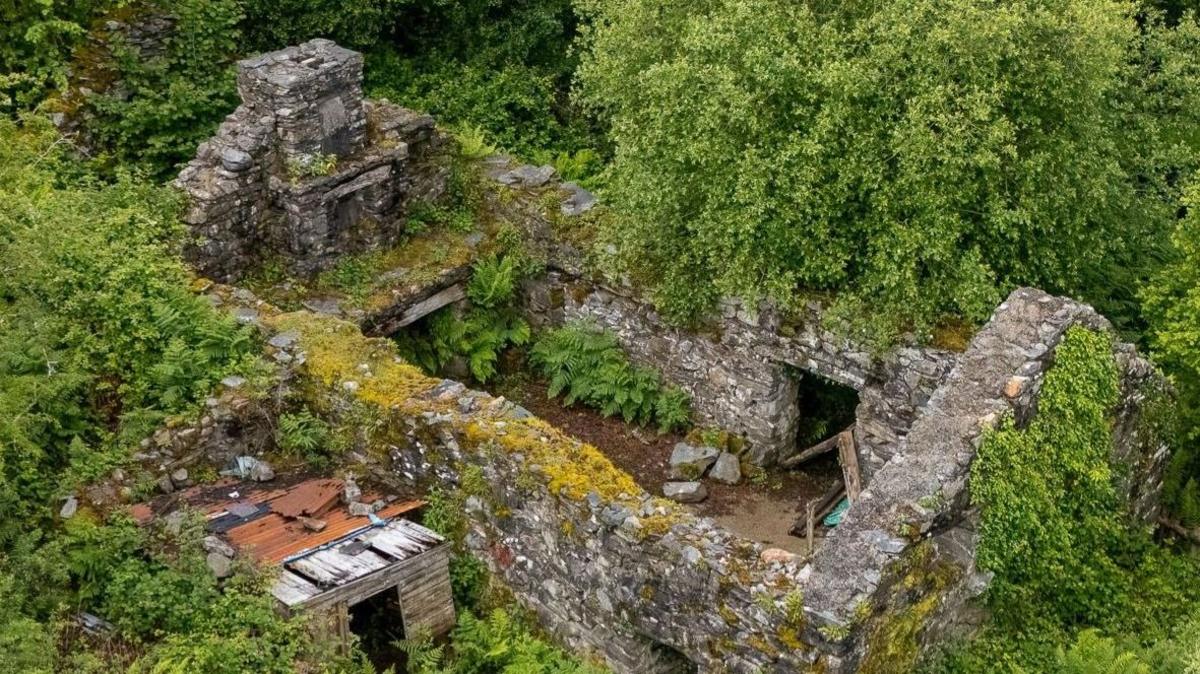 An aerial photo of a ruins of a roofless stone building surrounded by dense woodland and ferns. Moss and ivy cover parts of the crumbling walls, with a small corrugated-roof shed beside along one wall peaking out of the greenery