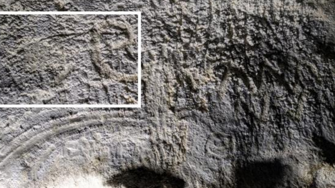 Ancient cave art discovery suggests first known humans in Ireland walked over from Wales Lit from behind the photographer's beam illuminates the image of what Dr Nash believes to be a mammoth. With its head to the right, a curved tusk is prominent
