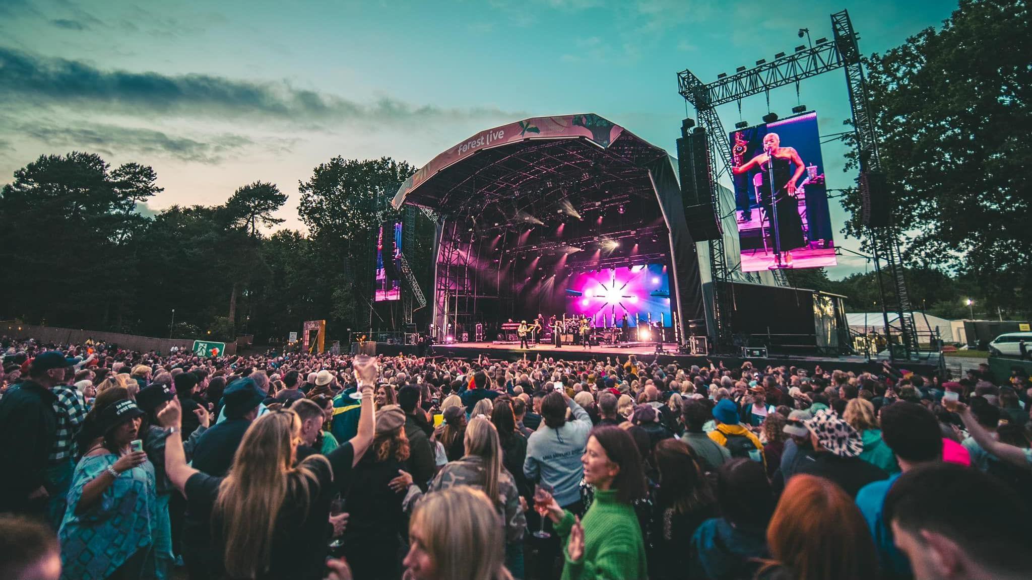 A crowd of people gathered in front of a stage in the middle of a forest as someone performs.