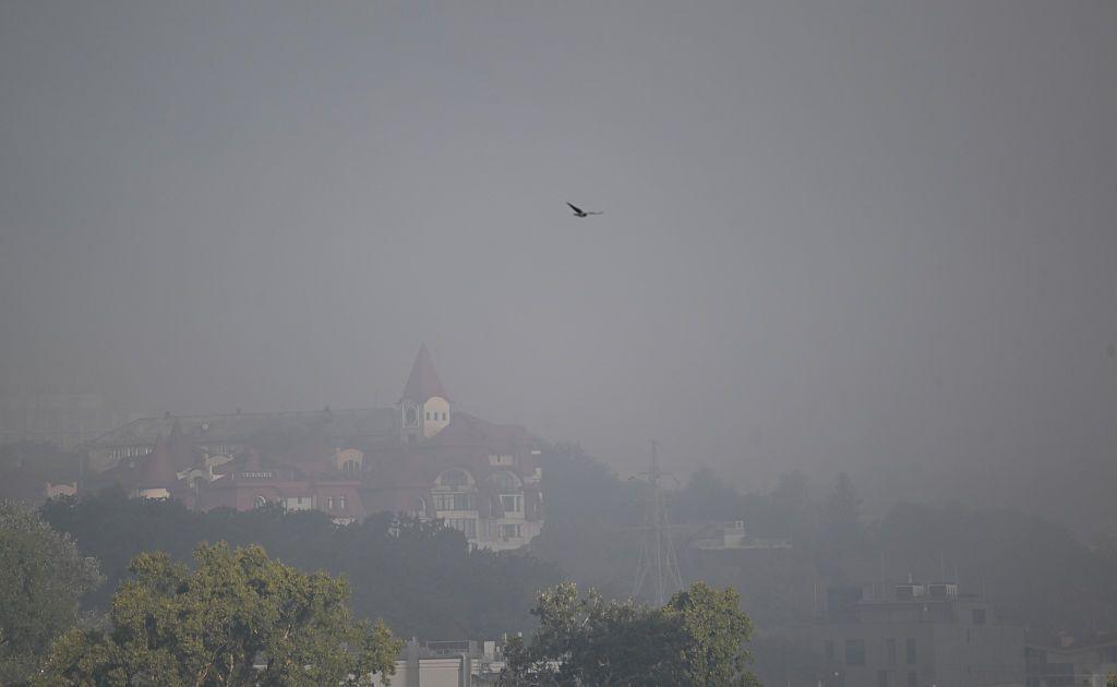Grey smoke hangs over Kyiv, creating a hazy view over a red-turreted building on a hill. A bird flies in the sky.