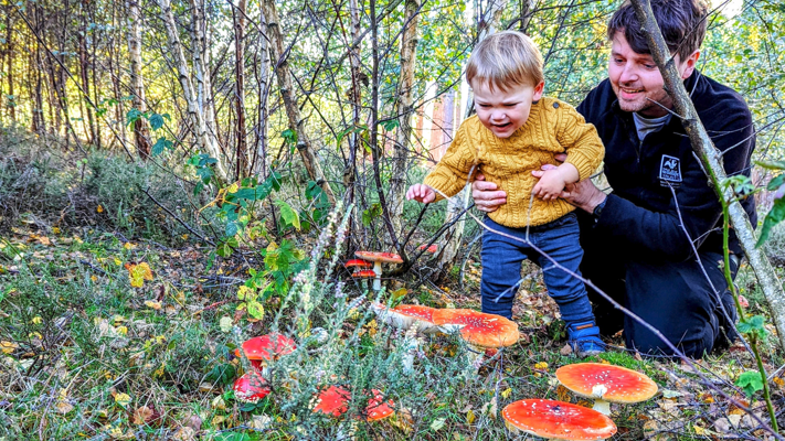 A man holds a young child among trees as the child reaches towards a group of red, white-spotted fly agaric mushrooms growing on the woodland floor.