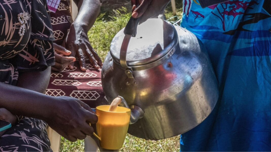 Kenya’s chai tea lovers are not happy as the nation’s cows run dry A close-up of someone's hand holding a large stove-top kettle and pouring a brown milky liquid into a yellow cup being held by someone else.