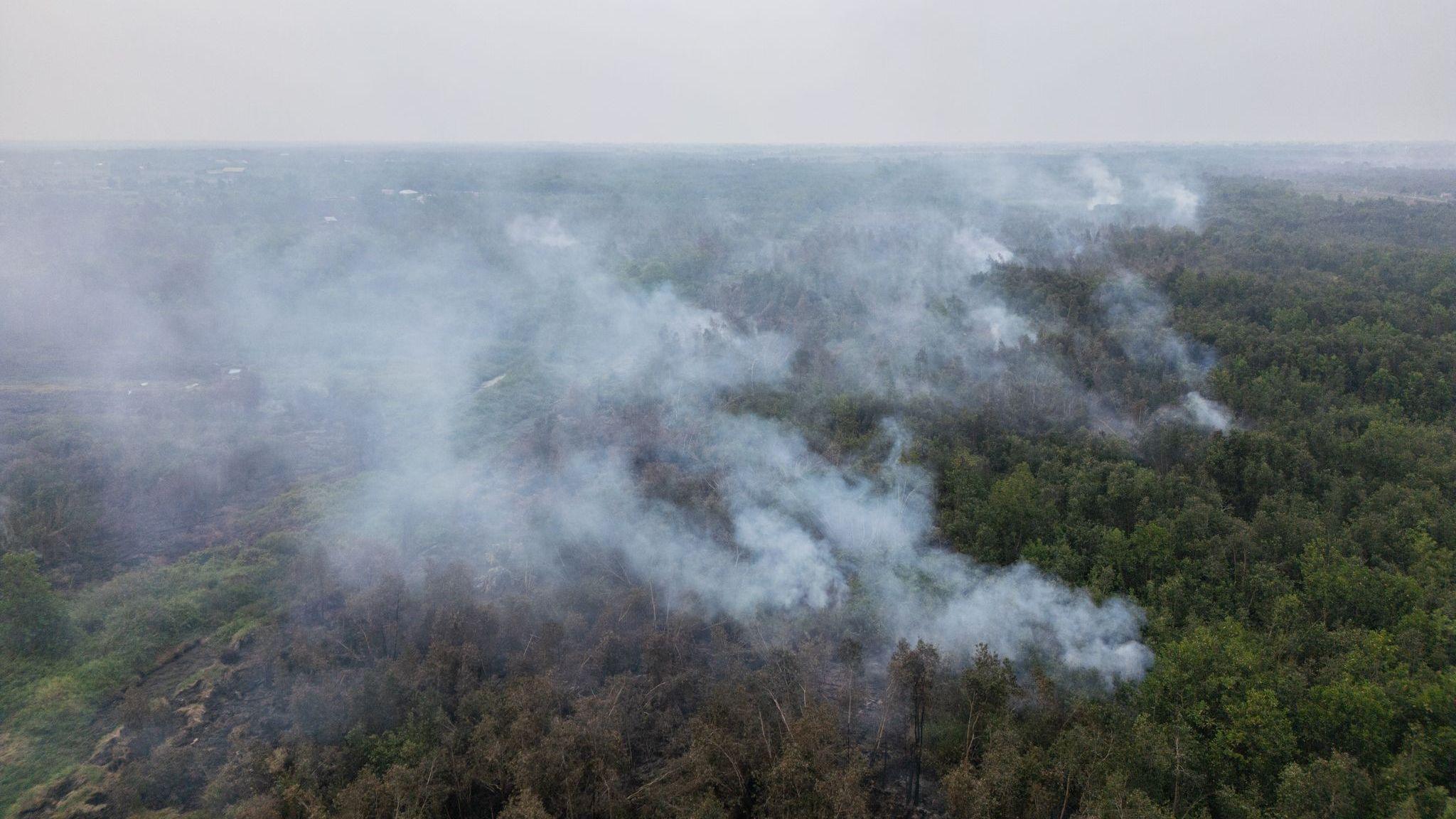An aerial shot of bushland with large plumes of smoke rising into the air