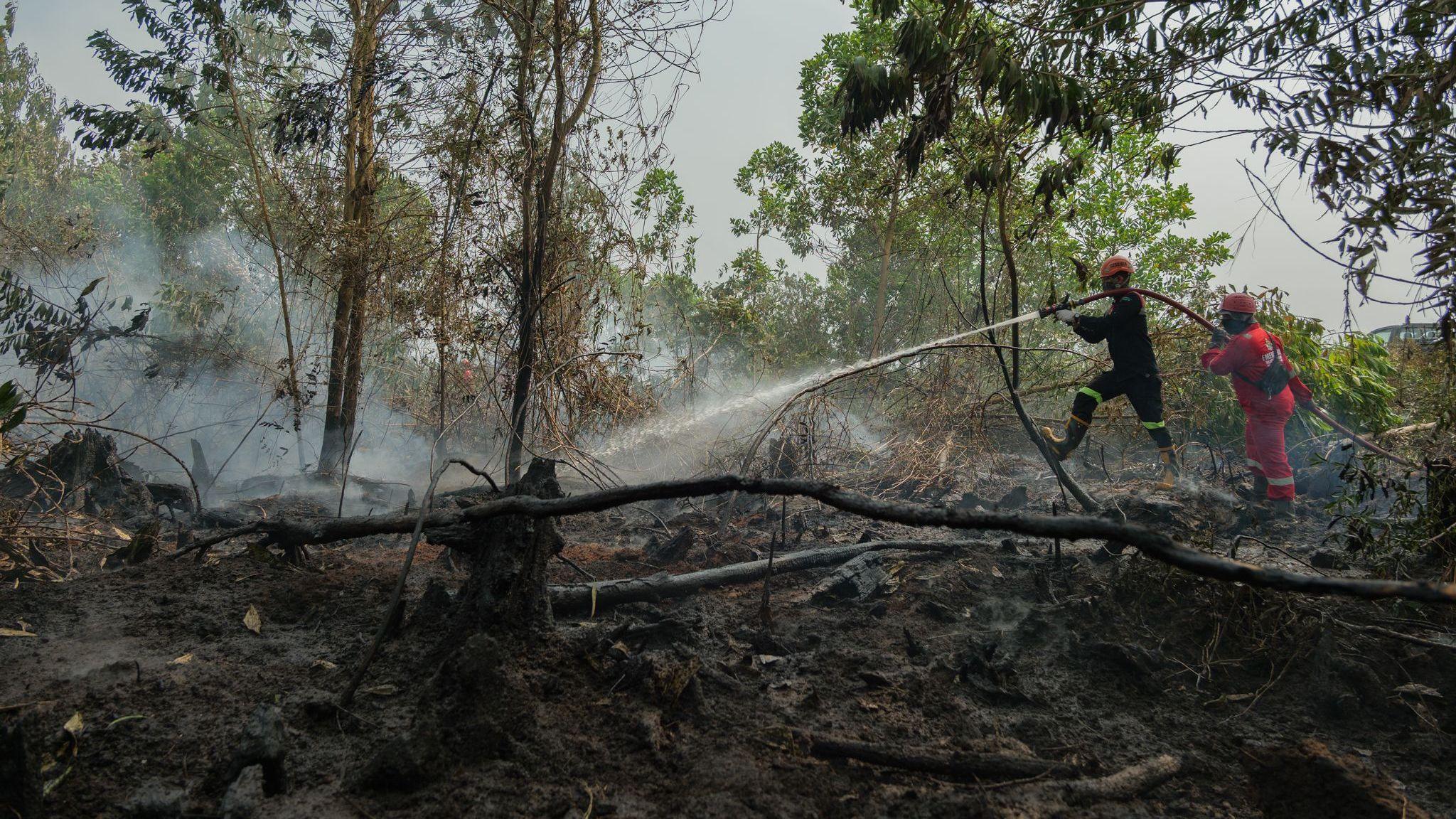 Two firefighters hold a hose, one behind the other, and spray water onto a blackened patch of land. Smoke rises in the background.
