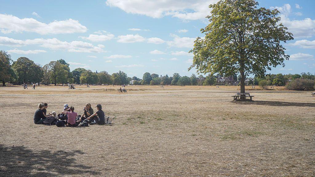 People sitting down in a group on a dry, parched Wimbledon Common in southwest London