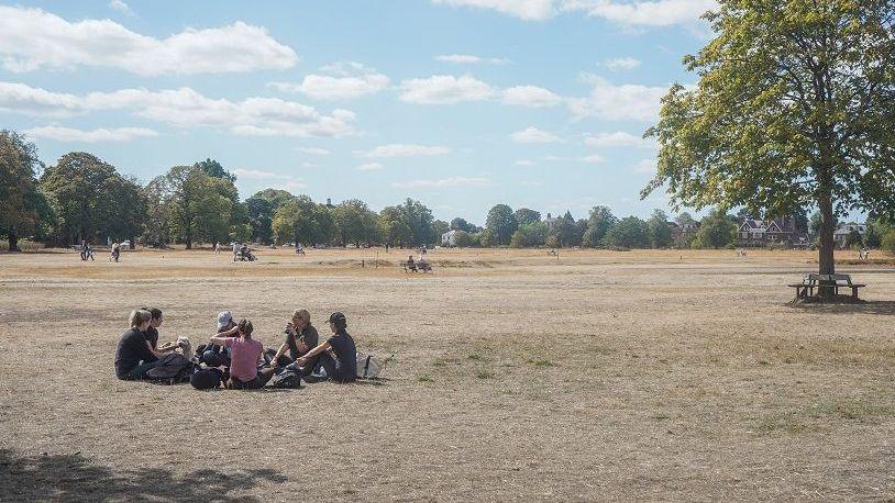 A group of people sit in a circle on straw-like dry grass. There are trees in the background and blue sky