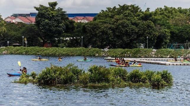 People are canoeing on the river