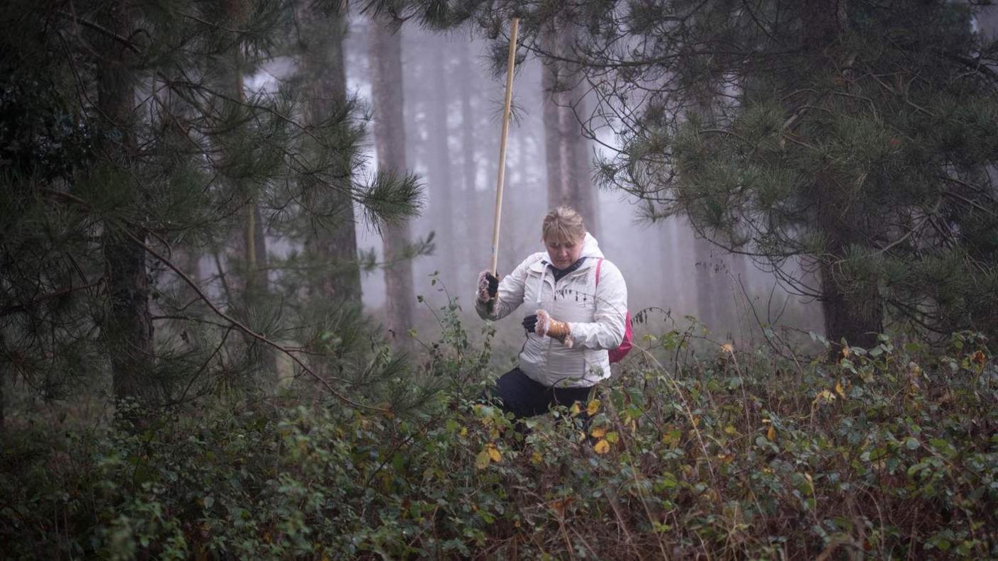 A woman wearing a white jacket and holding a large wooden stick walks through an overgrown woodland.