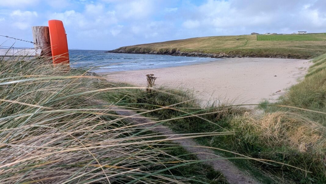 Weekend of mixed UK weather with sunshine before showers arrive for some on Sunday Mainly cloudy sky above a sandy beach with plants blowing to one side