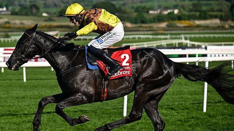 Two-time Gold Cup winner Galopin Des Champs dies days after retiring Two-time Gold Cup winner Galopin Des Champs dies days after retiring