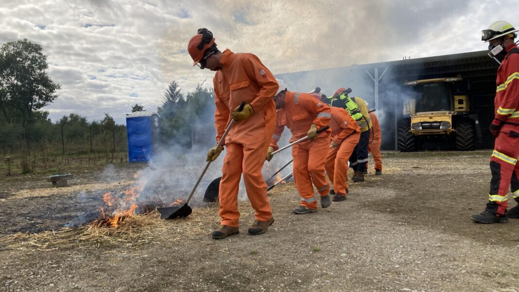 Land managers in orange overalls and helmets attempt to put out a straw fire on the ground using fire beaters