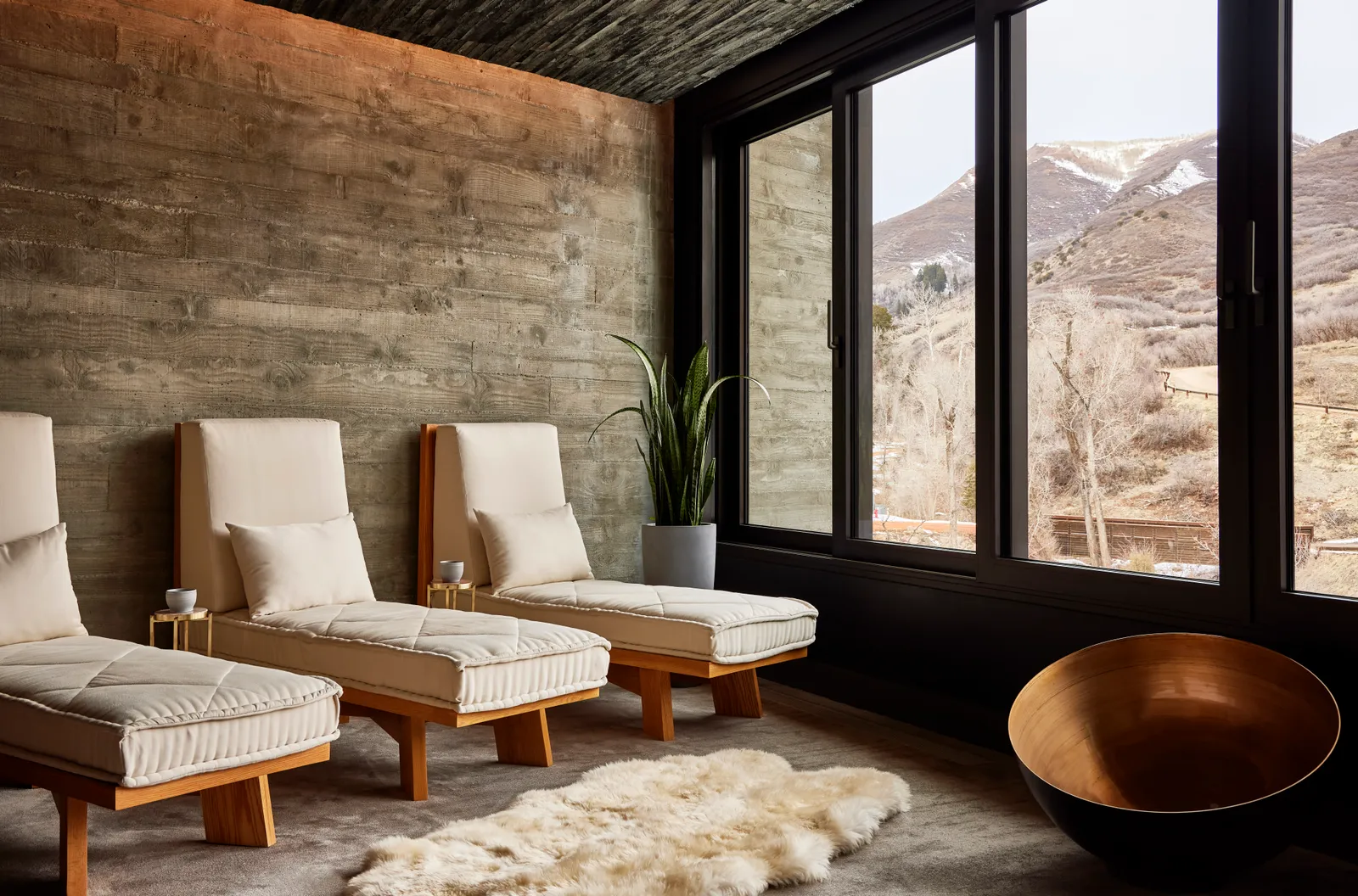 Image may contain Indoors Interior Design Plant Furniture Home Decor Chaise and Rug