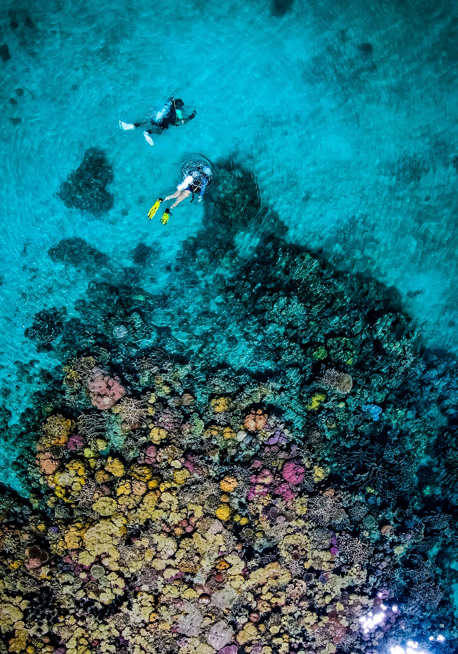 Image may contain Nature Outdoors Water Underwater Ocean Floor Person and Adult