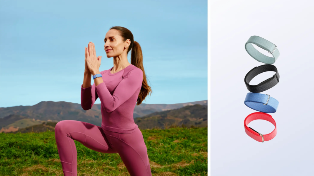 Google launches Fitbit Air in India, though its high price might deter the masses image
