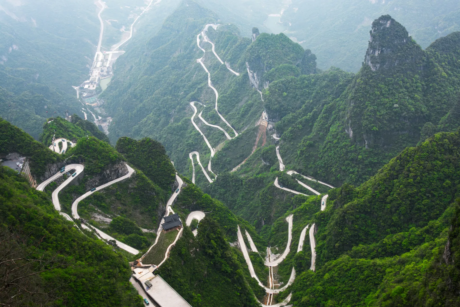 Image may contain Plant Vegetation Land Nature Outdoors Tree Woodland Water Aerial View Road and Scenery