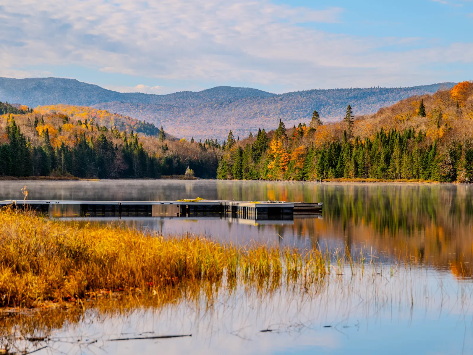 Image may contain Nature Outdoors Scenery Plant Tree Fir Water Land Lake Vegetation and Pond