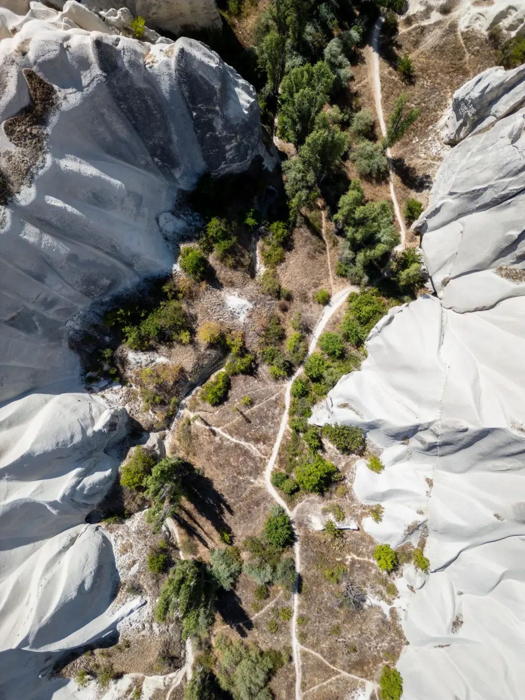 Image may contain Land Nature Outdoors Plant Tree Vegetation Woodland Rock Wilderness Aerial View and Adult