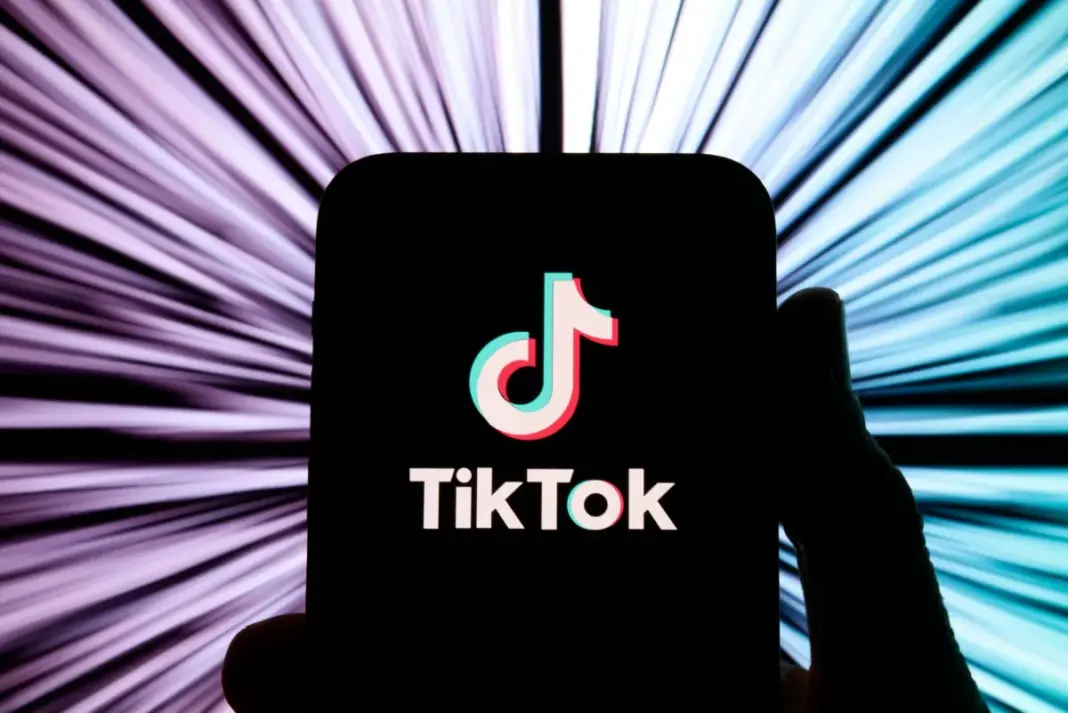 TikTok’s US arm joins Lantern, a cross-platform child safety initiative image
