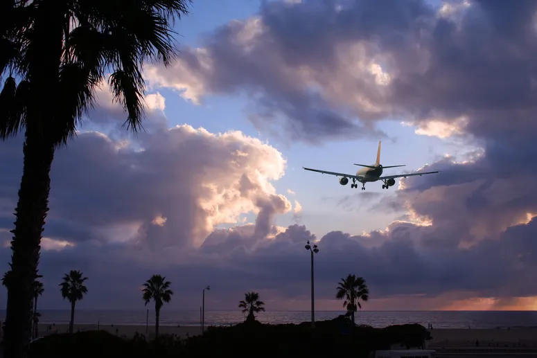 Image may contain: Aircraft, Flight, Transportation, Vehicle, Airplane, Landing, Airliner, Palm Tree, Plant, Tree, and Nature
