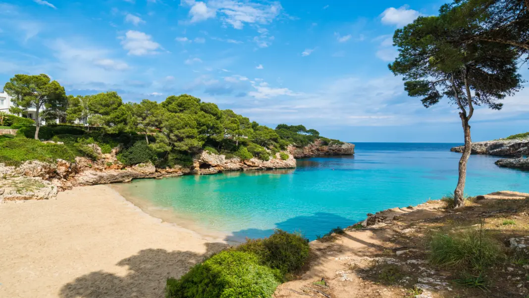 Lede mallorca 040226 gettyimages