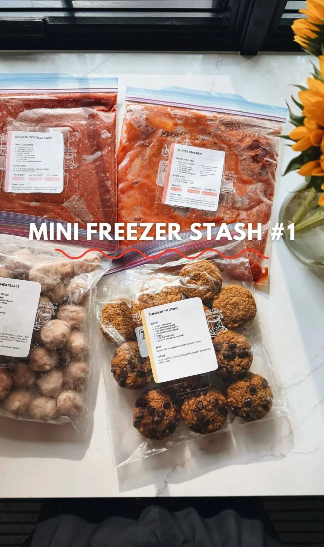Mini Freezer Stash #1 Mini freezer stash 1 scaled