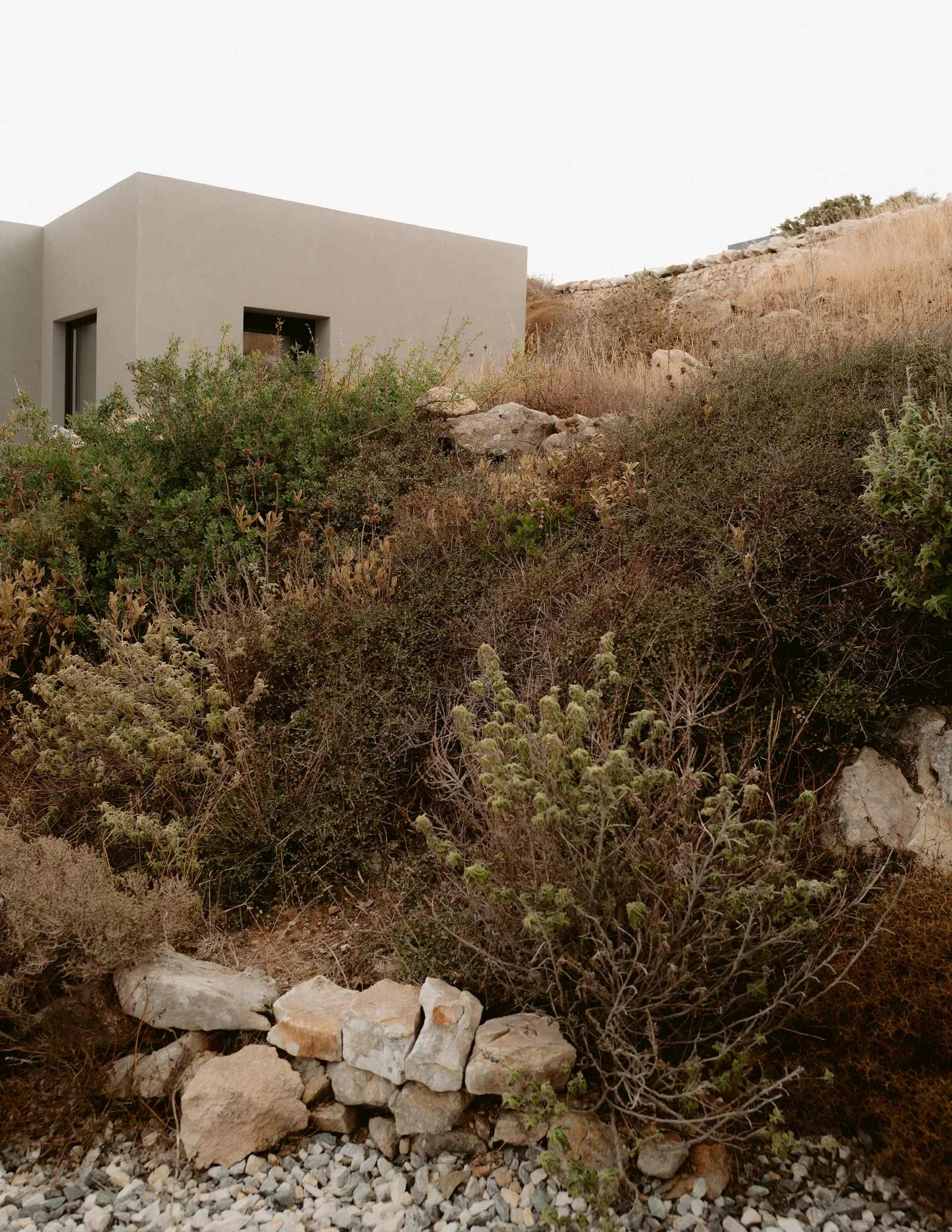 Image may contain Plant Vegetation Architecture Building Outdoors Shelter Rubble Bunker and Rock