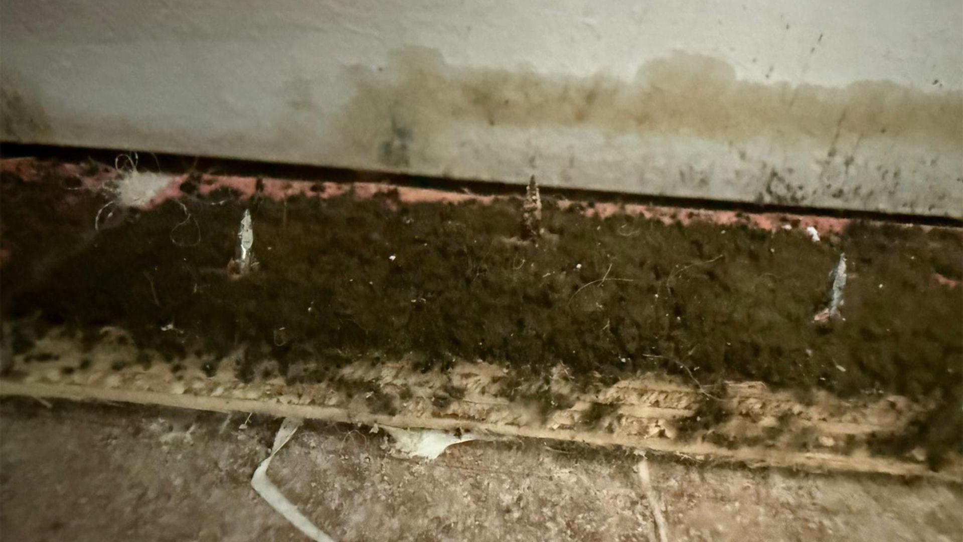 A close‑up of a damaged skirting board showing dark mould patches and fuzzy growth along the board, with discoloured, deteriorating wood and moisture‑stained wall surfaces above.