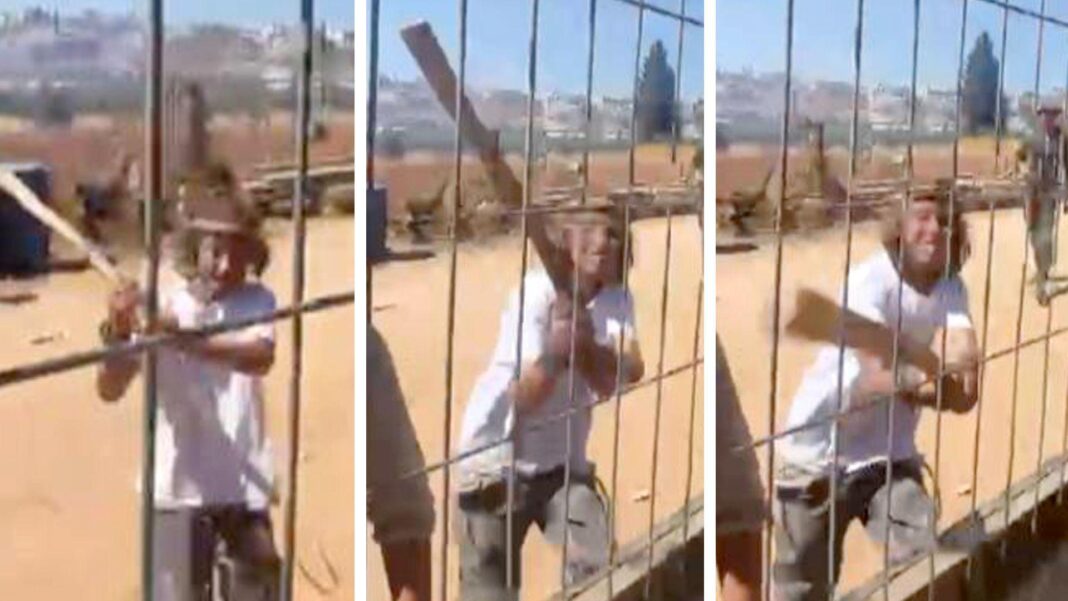 Palestinian teens killed during settler attack on West Bank village, officials say Screengrabs from a video showing a teenage Israeli settler using a stick to hit a metal gate and fence during an attack on a Palestinian home in the village of al-Mughayyir, near Ramallah, in the Israeli-occupied West Bank (11 July 2026)