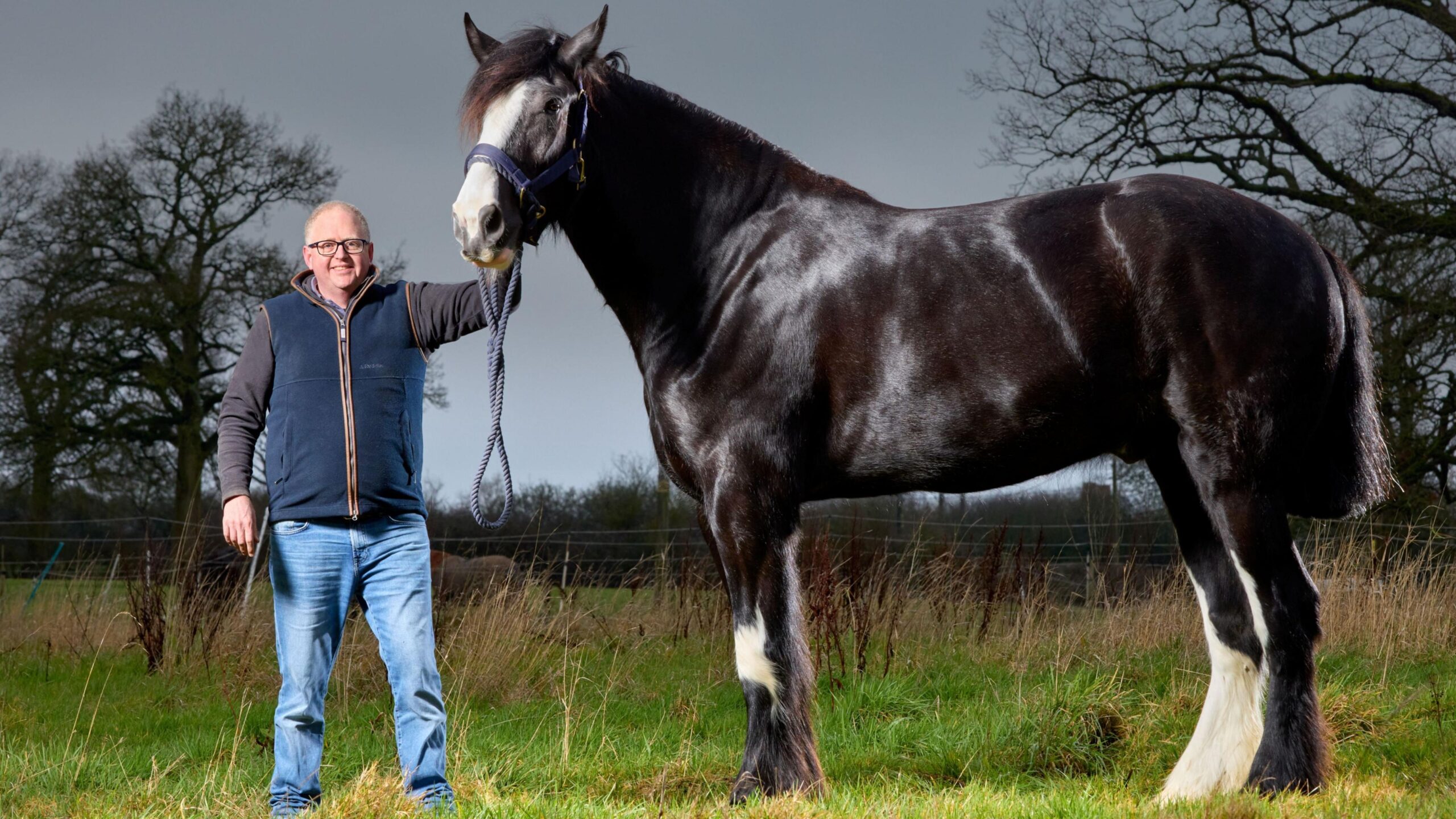 Brett Masters, standing next to Hugo, in a field, with trees and a fence behind them. Brett is holding his reins and is wearing blue jeans, a grey top and blue gilet. The horse is sideways on, to the camera.