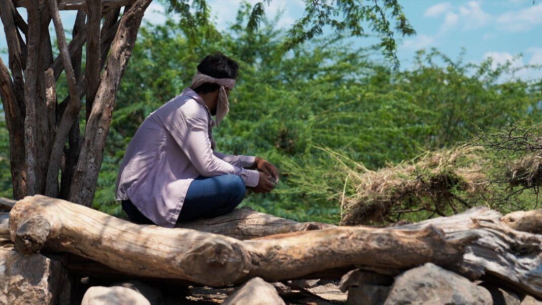 Man sitting on logs in hills outside Taiz, Yemen