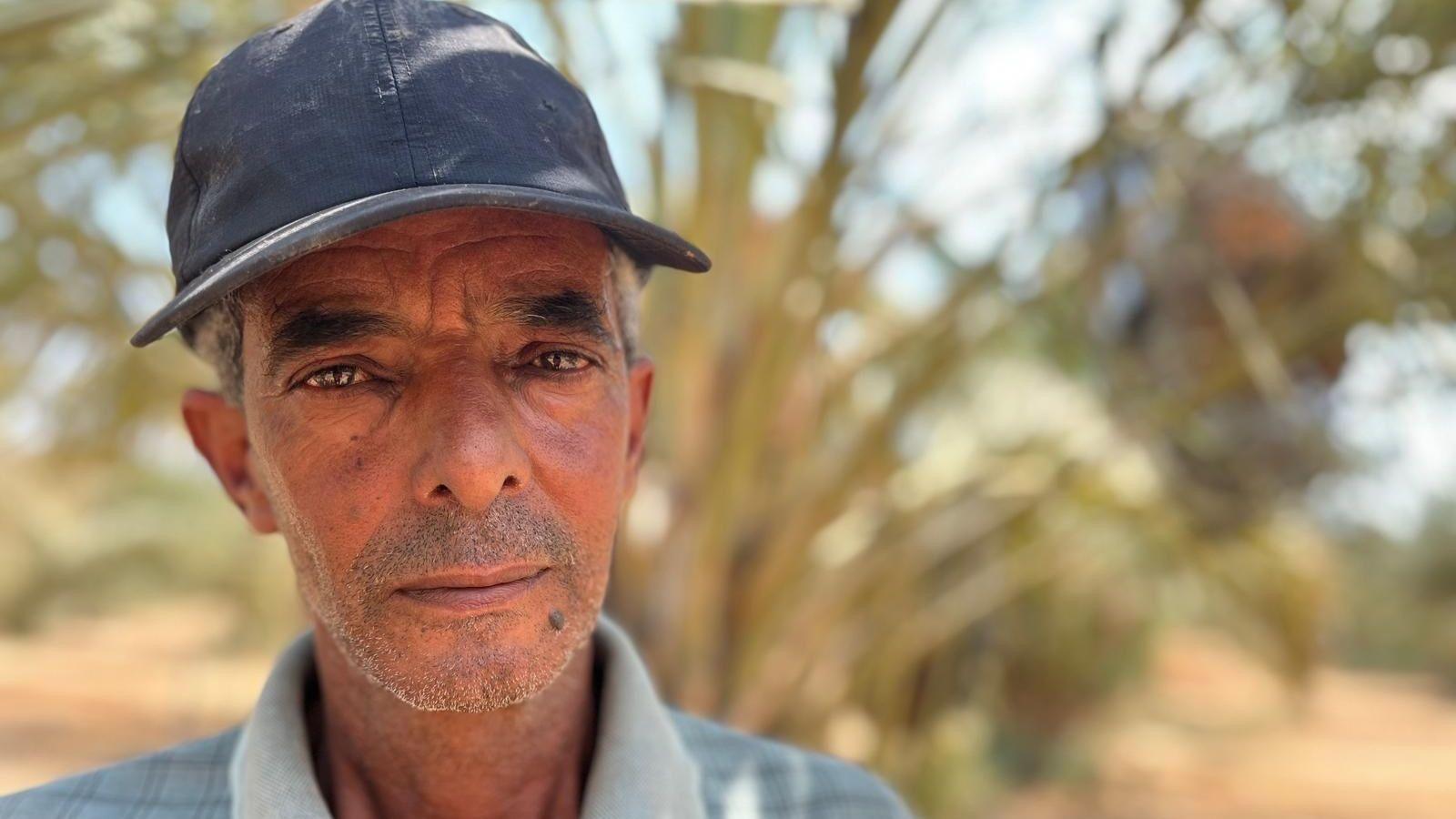 Palestinian date farmer Abdul Halim, in the Jordan Valley, in the occupied West Bank