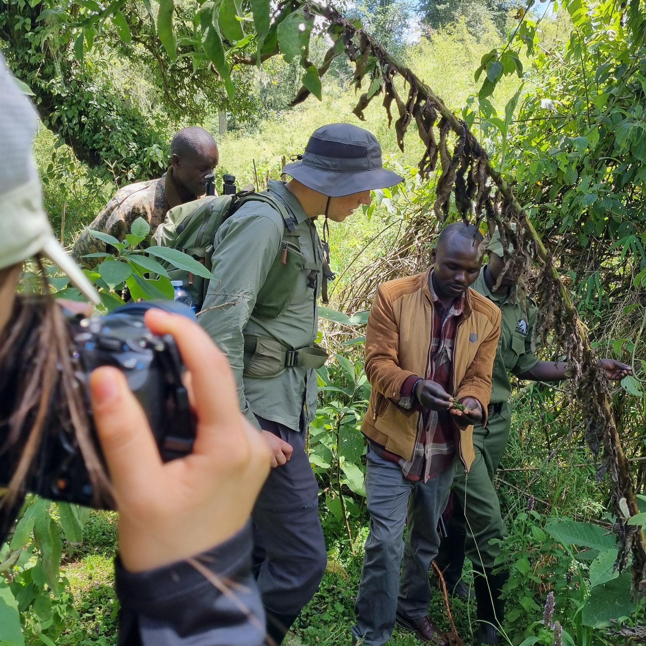 The image shows a group of researchers examining a sample of plant material. They are surrounded by dense, green forest. There are two people in the main part of the image - one is showing a small piece of plant material to another. In the foreground, another person can just be seen from behind taking a photograph of  the scene.