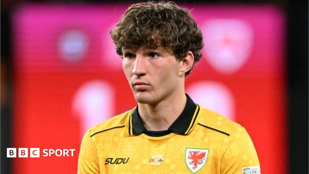 ‘Workhorse’ Koumas growing with Wales image