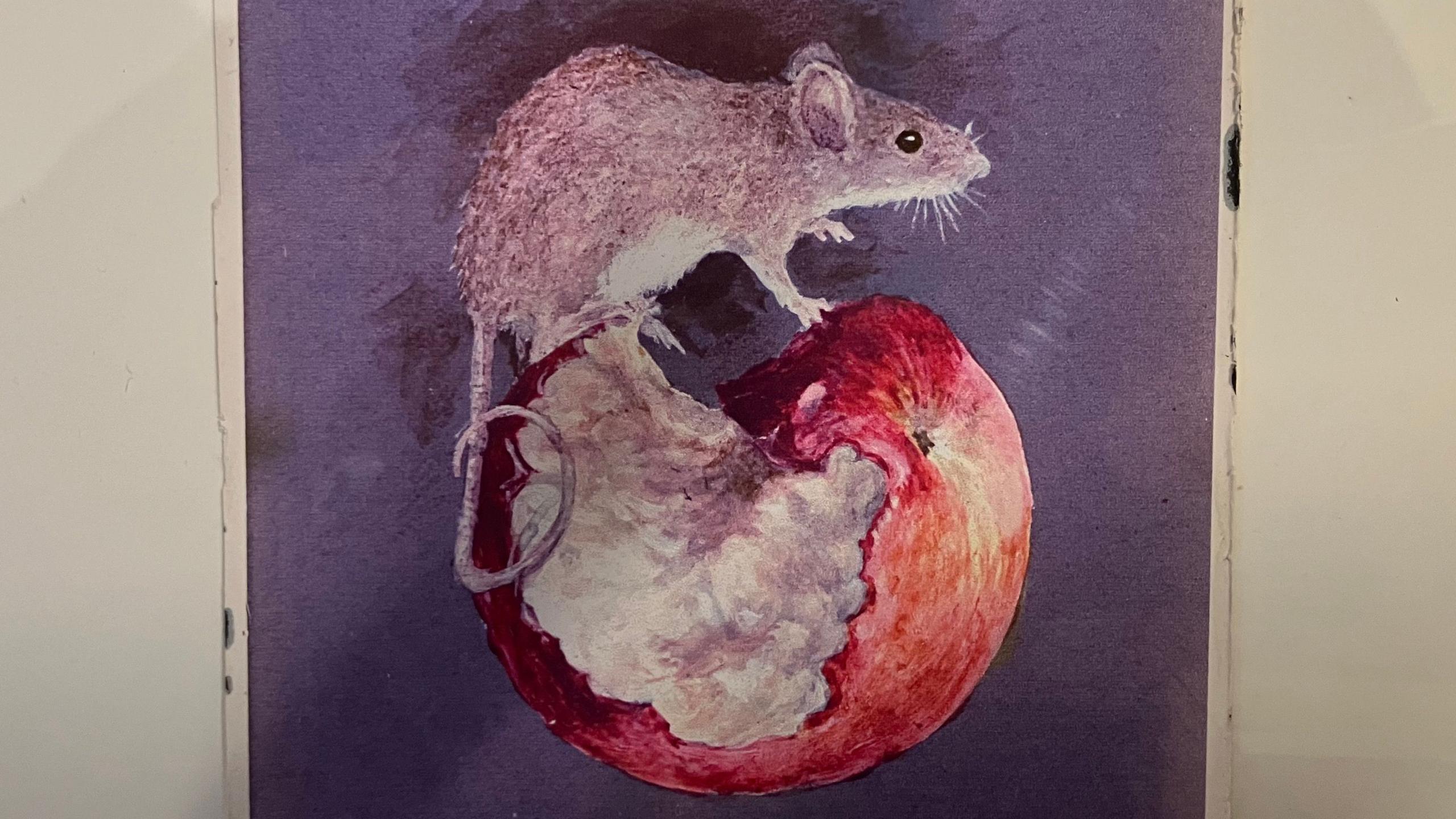 A close up of Fawley's artwork depicting a mouse sitting on an apple. The fruit has been partially eaten.