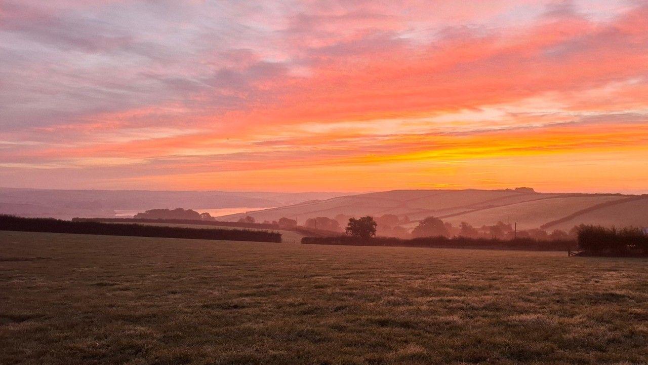 Swathes of pink and orange fill the sky with field in the foreground and a glimpse of water to the left