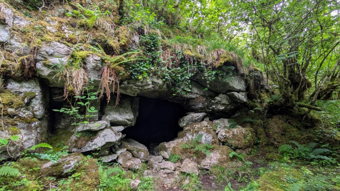 At a secret location on a hillside in south-west Ireland,  a roughly circular natural cave entrance with moss-covered limestone surrounds, covered with ferns, ivy  and brambles.