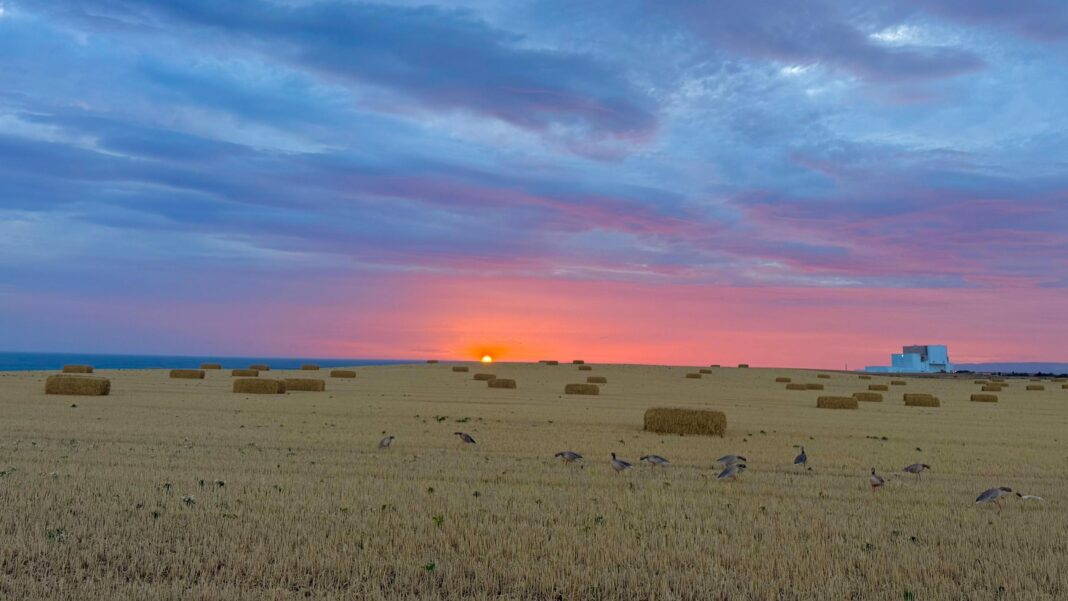 A wide open field of cut hay with rectangular hay bales dotted about, with a orange sun rising in the distance into a pink and blue partly cloudy sky.