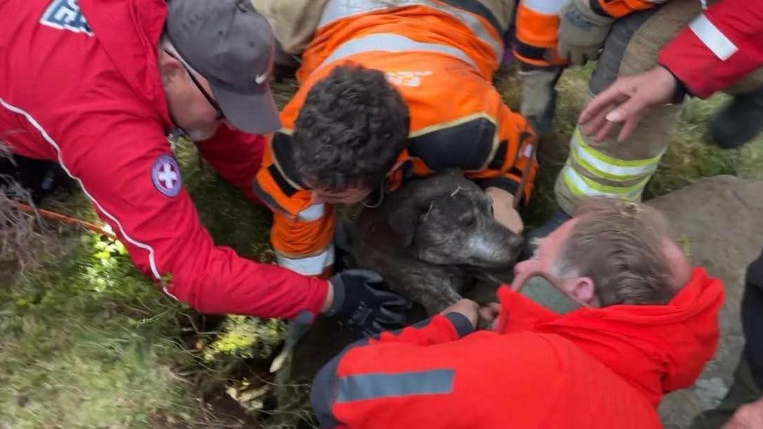 A group of people in high-visability outfits all help pull a dog out of a small gap in moorland.